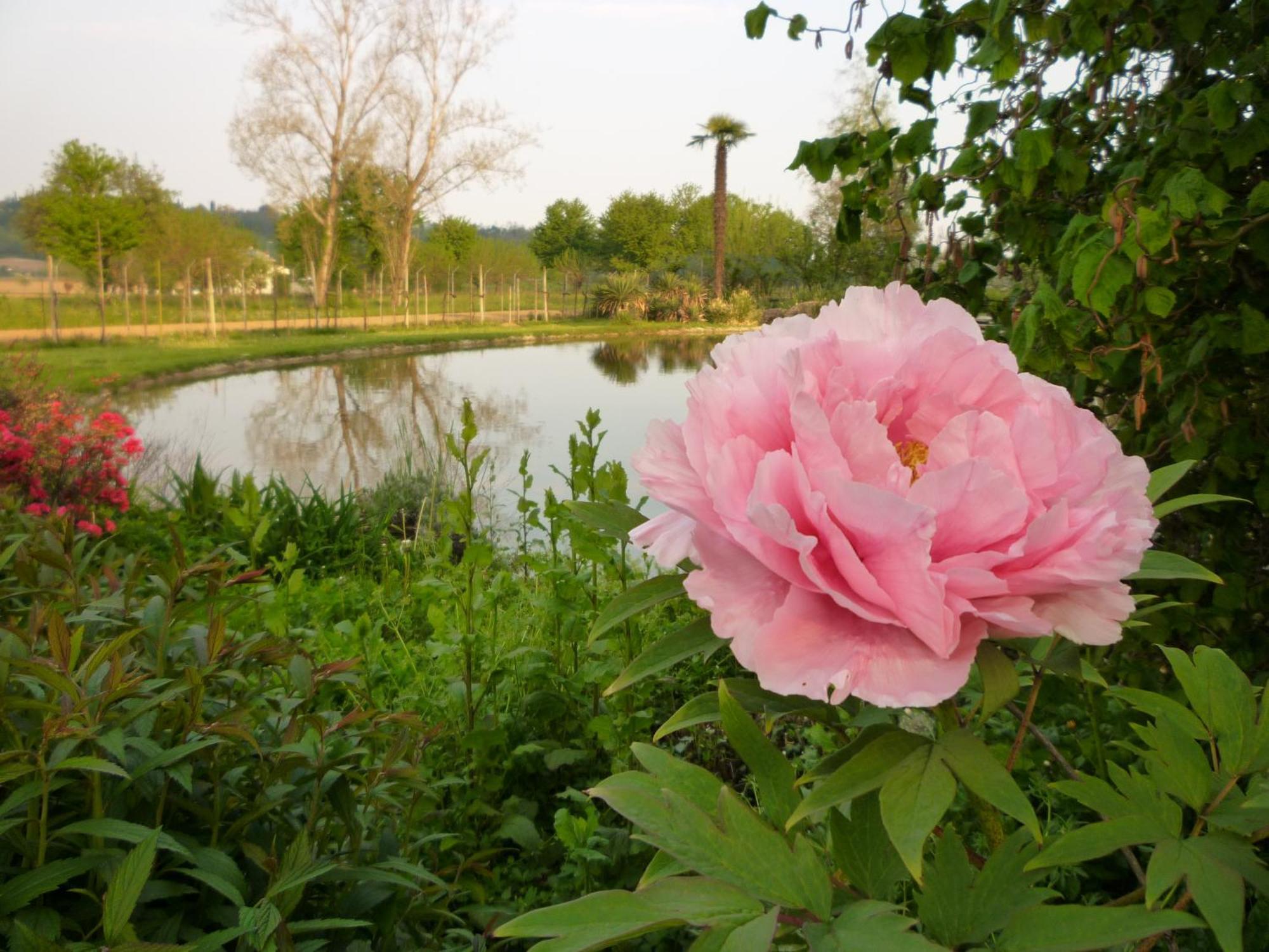 Country House Barone D'Asolo Buitenkant foto
