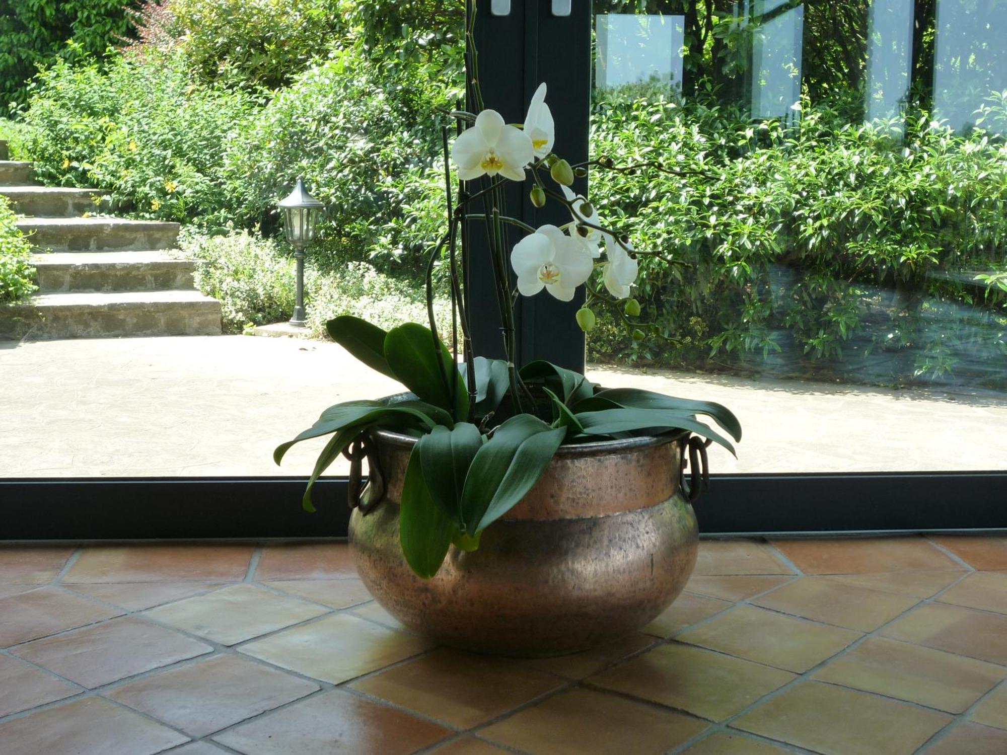 Country House Barone D'Asolo Buitenkant foto